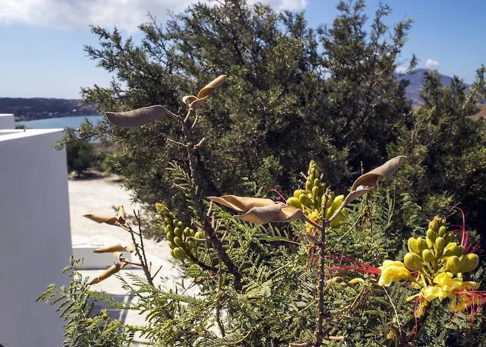 Margaritari Milos * Adámas